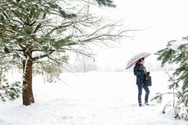 Kışın karlı çam ormanlarında elinde şemsiyeyle ayakta duran ya da yürüyen Defocus adamı. Kış karlı ormanlık. Doğal çam ağacı arka planı. Kar fırtınasında soğuk soğuk hava. Odaklanamıyorum.