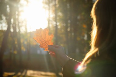 Siluet arka planda meşe yaprağına bakan kadının görüntüsü. Akıl sağlığı, umut, mutluluk kavramı. Sonbaharı hayal et. Huzur dolu bir hayat. Sonbahar parkında ya da ormanda güneş ışığı. Aşk doğa konsepti.