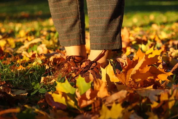 Weibliche Beine Capri Hosen Und Brogues Schuhen Auf Trockenem Herbstlaub — Stockfoto