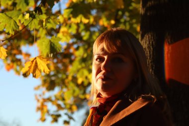 Renkli sarı akçaağaç sonbahar parkındaki güzel sarışın kadının portresi. Ağaç gövdesinin yanında ceketli, şık bir kadın. Merhaba sonbahar konsepti. Bulanık sarı akçaağaç yaprağı. İşaret fişeği.