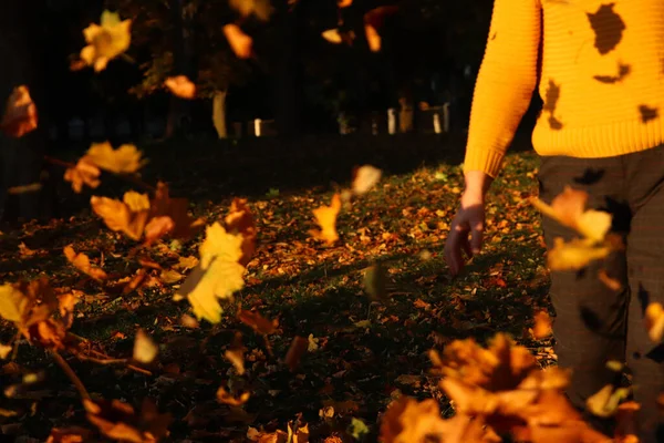 Hello autumn. Happy woman in yellow pullover, shawl outside in the autumn park enjoying autumn and throwing leaves. Many flying orange, yellow, green dry leaves. Dark shadow.