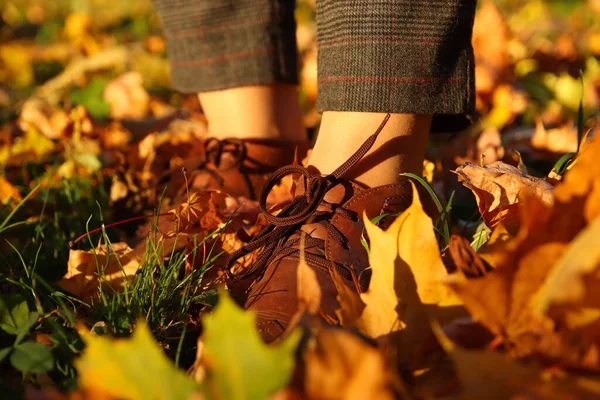 Крупным Планом Женская Нога Брюках Капри Броги Обувь Сухом Осеннем — стоковое фото