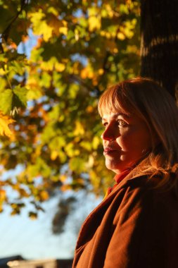 Renkli sarı akçaağaç sonbahar parkında güzel beyaz sarışın kadının dikey portresi. Ağaç gövdesinin yanında ceketli, şık bir kadın. Mutlu sonbahar rüya konsepti. Bulanık sarı akçaağaç yaprağı