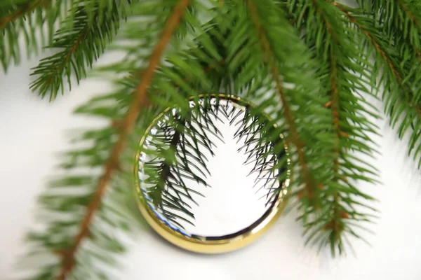 白い背景に丸い鏡の中の緑の天然モミの木の枝のクローズアップ反射 創造的な芸術クリスマスの概念 休日の気分 丸い金の蓋 火の針 — ストック写真