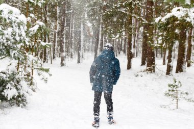 Kar fırtınasında, kış ormanındaki çocuk manzarası. Aktif olarak dışarıda zaman geçirmek. Kış karlı ormanlık. Kar fırtınasında soğuk soğuk hava. Mutlu bir çocukluk. Noel rüyaları.