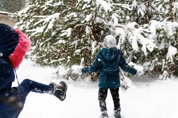 Winter Park 'ta kar topu oynayıp dışarıda vakit geçiren komik çocuklar. Kış karlı ormanlık. Doğal çam ağacı arka planı. Kar fırtınasında soğuk soğuk hava. Kız erkeği tekmeliyor.