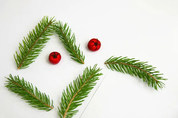 面白い自然フクロウ 赤い果実の目で顔 白い背景にモミの枝と赤い果実のクローズアップフレーム クリスマスのグリーティングカード コピースペース お祭りの休日の背景 自然装飾 — ストック写真
