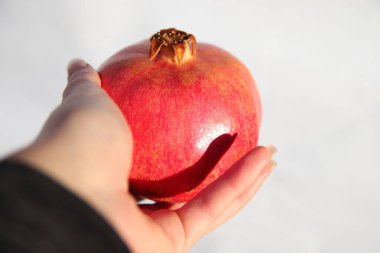 Nar meyvesi. Beyaz arka planda olgun kırmızı nar armut meyvesi veren ya da tutan ilk kadın tarafından görülmektedir. İzole edilmiş. Taze ve organik. Hasat et.