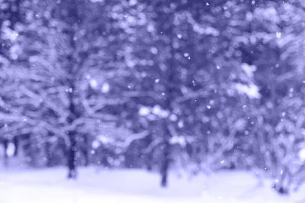 Defocus Abstracte Wazig Winter Achtergrond Winter Achtergrond Van Sneeuw Vorst — Stockfoto