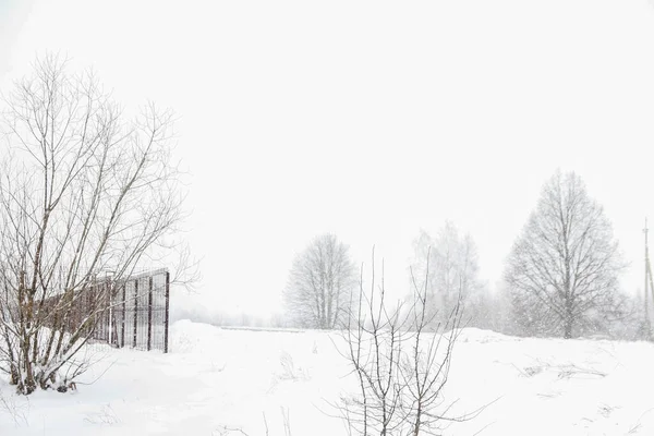 Minimalistic Landscape Snowy Winter Season Frosty Winter Morning Cold Weather — Foto Stock