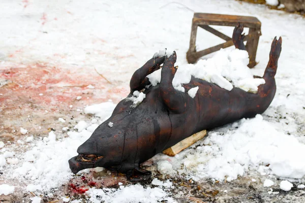 Döda gris ombord utomhus förbereda kock. Gatubelysning, kadaver gris, slakt har utförts, huden på djuret förolämpas av elden till svart. Vinter, landsbygd. Slaktare — Stockfoto