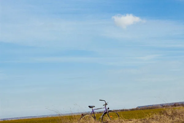 Sahada Duran Klasik Mor Bisiklet Kırsalda Bir Bisiklet Özgürlük Kavramı — Stok fotoğraf