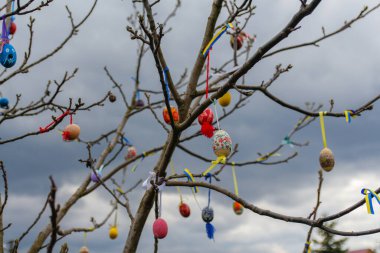 Birçok Paskalya yumurtası dışarıda dekore edildi. El yapımı ev dekorasyonu, bahar dallarında asılı renkli paskalya yumurtaları. Yaratıcılık sanatı konsepti. Ukrayna bayrağı. Dışarı çıkın. - Yakın çekim. Rüzgâr