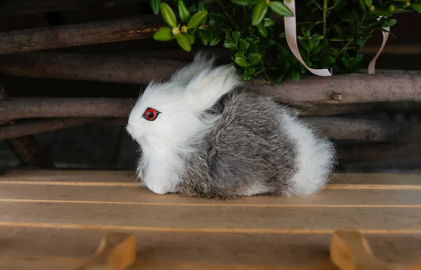 复活节兔子。白色和灰色的兔子坐在木制的背景上.软玩具。复活节假期的标志 — 图库照片