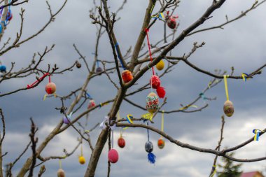 Birçok Paskalya yumurtası dışarıda dekore edildi. El yapımı ev dekorasyonu, bahar dallarında asılı renkli paskalya yumurtaları. Yaratıcılık sanatı konsepti. Ukrayna bayrağı. Dışarı çıkın. Yakın çekim..