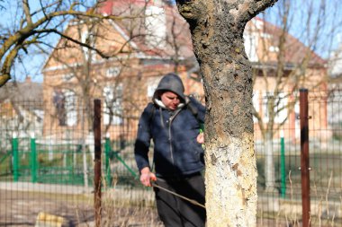 Bahar bahçıvanlığı. Çiftçi bozuntusu, bahar bahçesindeki böceklere elle böcek ilacı püskürtüyor. Tarım, bahçıvanlık, kimyasal spreyleme. Bulanık. Odaklanamıyorum.