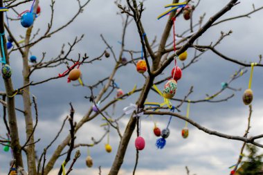 Birçok Paskalya yumurtası süslenmiş. El yapımı ev dekorasyonu, bahar dallarında asılı renkli paskalya yumurtaları. Yaratıcılık sanatı konsepti. Ukrayna bayrağı. Dışarı çıkın. Paskalya arkaplanı.