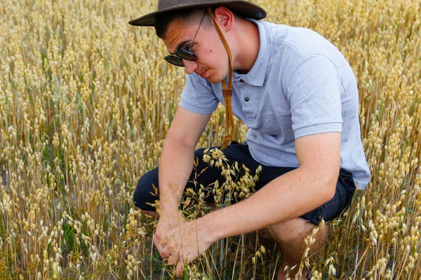 Зерно Врожаю Портрет Фермера Сидить Полі Золотої Пшениці Блакитним Небом — стокове фото