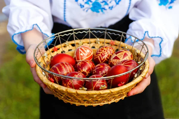 Doğal yeşil çimen arka planında kırmızı renkli yumurtalardan oluşan sepeti tutan kadın eli defocus. Paskalya tatili konsepti. Boyanmış yumurtalar. Doğa, bahçe. Pysanka ya da krashanka koleksiyonu. Odaklanamıyorum.