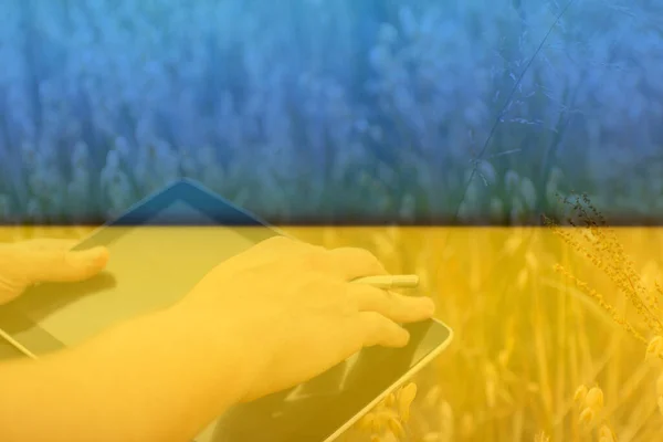 Ukraine Gros Plan Des Mains Jeune Agriculteur Tenant Comprimé Vérification — Photo