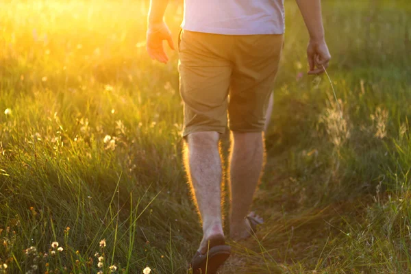 Defocus man walking on grass. Human legs in shorts in meadow background. Sunset. Summer happiness. Back view of male legs and foot. Out of focus.