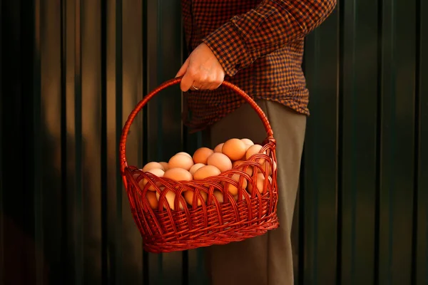 Muitos Ovos Cesto Jovem Agricultora Segurando Cesta Inteira Ovos Orgânicos — Fotografia de Stock