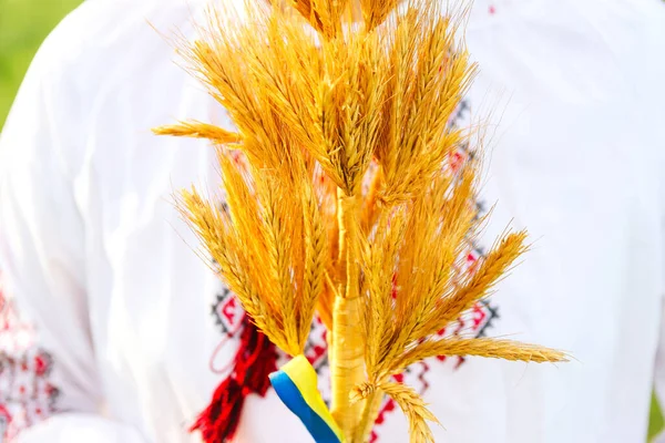 Defocus Closeup Bouquet Ripe Golden Spikelets Wheat Tied Meadow Nature — Stock Photo, Image