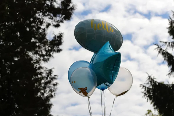 Defocus bunch of bright blue balloons on nature background, space for text. Banner design. Photo zone with balloons. Boy\'s birthday decor. Festive decor. Outside. Hello baby, newborn. Out of focus.