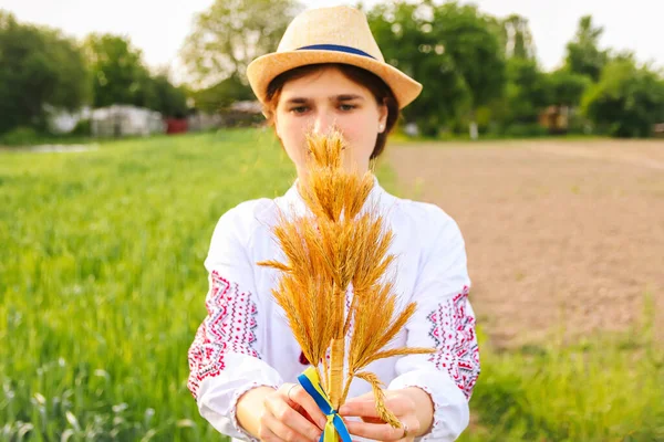 牧草地の自然を背景にタイ小麦の熟した黄金の小花の花束を保持VyshyvankaのDeocus女性 ウクライナの国旗 ウクライナだ ホロドモア サイドビュー 集中できない — ストック写真