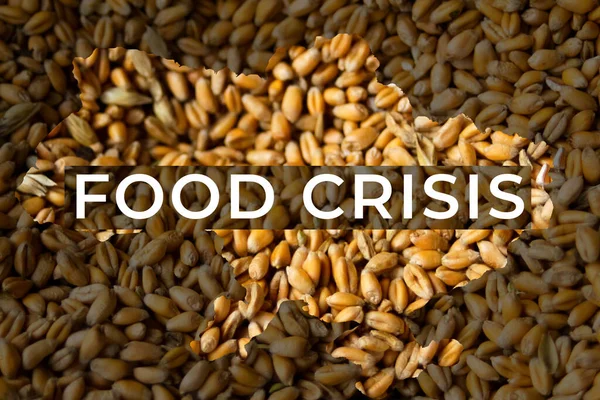 Food crisis. Ukraine map. Global and European grain and wheat crisis, Ukraine. Export word design. Farming: oats, barley, rye. Agriculture and economic depression. Poverty and help human. Business.