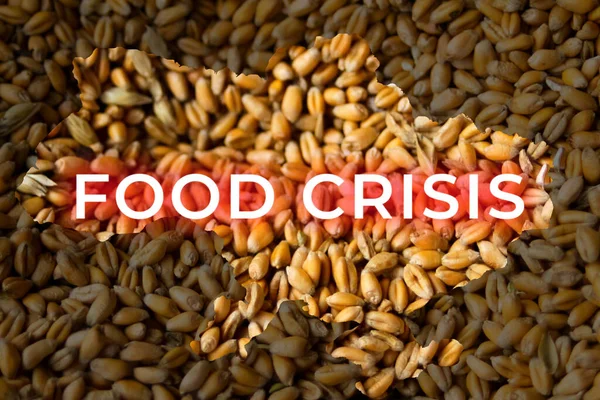 Food crisis. Ukraine map. Global and European grain and wheat crisis, Ukraine. Export with farming. Word design. Oats, barley, rye. Agriculture. Economic depression. Poverty. Help human.