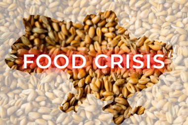 Yemek krizi. Ukrayna 'da küresel ve Avrupa tahıl ve buğday krizi. Tahıl ihraç et. Kelime tasarımı Çiftçilik: yulaf, arpa, çavdar. Ekonomik kriz. Grafik, analiz, bozuk para yığını.