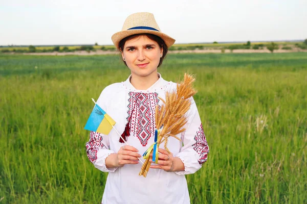 戴着Vyshyvanka和帽子的Defocus年轻女子手持成熟的金色麦穗束和旗帜 挂在草地上的大自然背景上 乌克兰国旗 快乐的乌克兰女孩 注意力不集中 — 图库照片