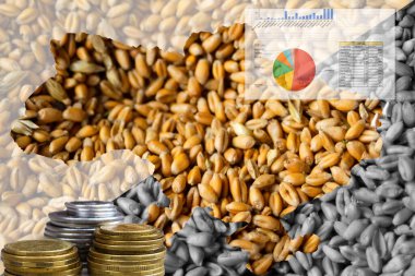 Yemek krizi. Ukrayna haritası. Küresel ve Avrupa tahıl ve buğday krizi, Ukrayna. Ekonomik kriz. 