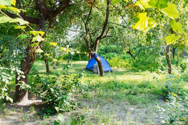 Defocus Autumatic Blue Tourist Tent Standing Green Nature Background Outdoor — Photo