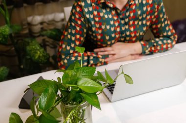 Bilgisayarda çalışan defocus kadını. Bir iş günü başlar ya da biter. Çalışma masasında ve laptopta oturan genç bayan. İş yeri. Bir kadın. Yeşil defter, bitki. Çiçekçi. Odaklanamıyorum.