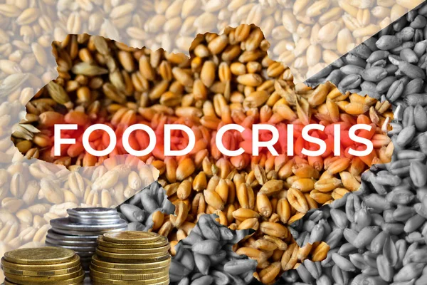 Food Crisis Ukraine Map Global European Grain Wheat Crisis Ukraine — Foto Stock