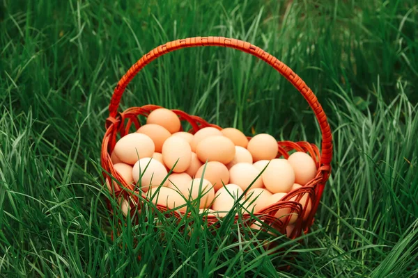 Defocus eggs in basket on grass background. Chicken eggs in wooden basket on green nature floor at cloudy day. Copy space. Organic food. Closeup. Easter egg. Side view. Out of focus.