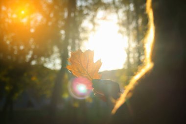 Defocus silhouette back view of woman looking at oak tree leaf. Mental health, hope, happiness. Dream autumn. Peace lifestyle. Sunlight in fall park or forest. Love nature concept. Out of focus,