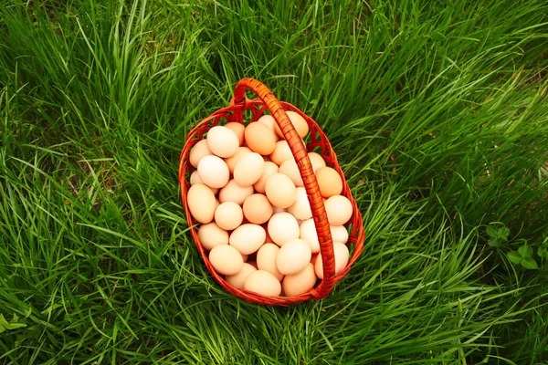 Defocus eggs in basket on grass background. Chicken eggs in wooden basket on green nature floor at cloudy day. Out of focus.
