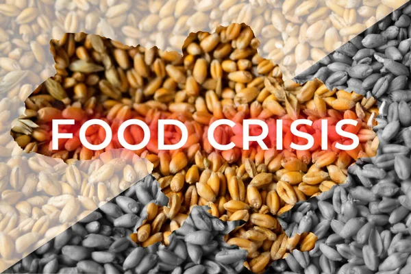 Food Crisis Ukraine Map Global European Grain Wheat Crisis Ukraine — Foto Stock
