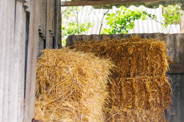 Defocus hay and straw. Hay texture. Hay bales are stacked in large stacks. Harvesting in agriculture. a pile of straw on nature background. Out of focus.