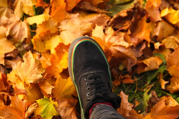 Defocus feet sneakers walking on fall leaves. Outdoor with Autumn season nature on background. Lifestyle Fashion trendy style. One feet. Out of focus.