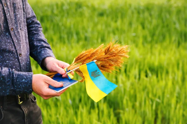 Defocus Young Man Holding Ukrainian Passport Flag Wheat Spikes Wheat — Foto Stock