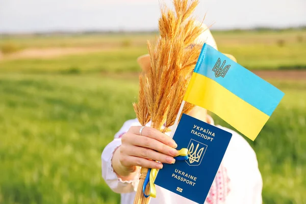 Ослабление Женской Руки Показ Украинского Паспорта Флага Пшеничных Шипов Пшеницы — стоковое фото