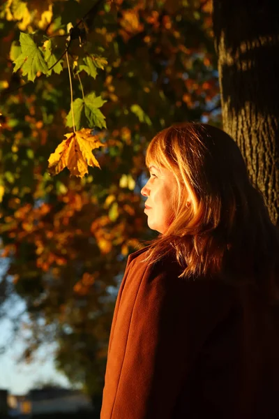 Defocus back view portrait of young Caucasian blonde woman in colorful yellow maple autumn park. Bright stylish woman in coat on fall background. Happy fall. Blurred yellow maple leaf. Out of focus.