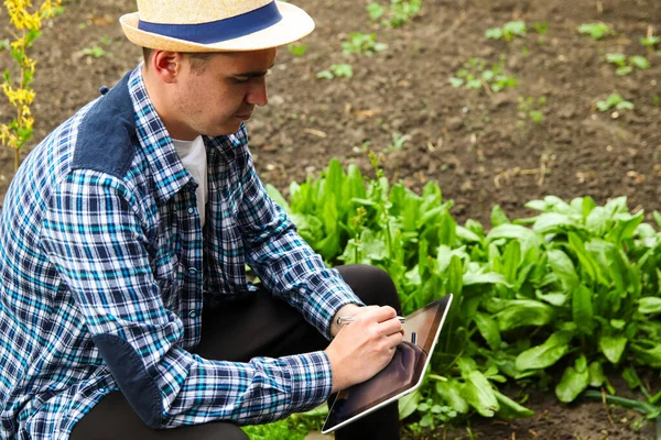 Defocus farmer man read or analysis a report in tablet computer on a agriculture field, agriculture concept. Young agronomy worker on the field. Out of focus.