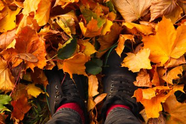 Defocus feet sneakers walking on fall leaves. Outdoor with Autumn season nature on background. Lifestyle Fashion trendy style. Out of focus.