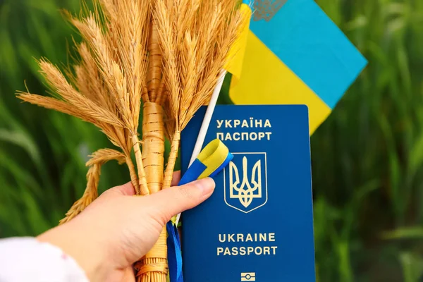 Расслабьте Женскую Руку Держа Руках Украинский Паспорт Флаг Пшеничные Шипы — стоковое фото