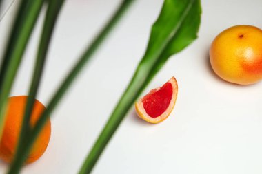 Bir portakal meyvesinin odağını kes. Sağlıklı gıda konsepti. Taze portakal suyu. Vejetaryen, vejetaryen konsepti. Fotokopi alanı olan pankart. Yeşil bitki çerçevesi. Odaklanamıyorum.
